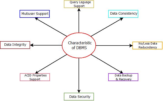 DBMS : Characteristics